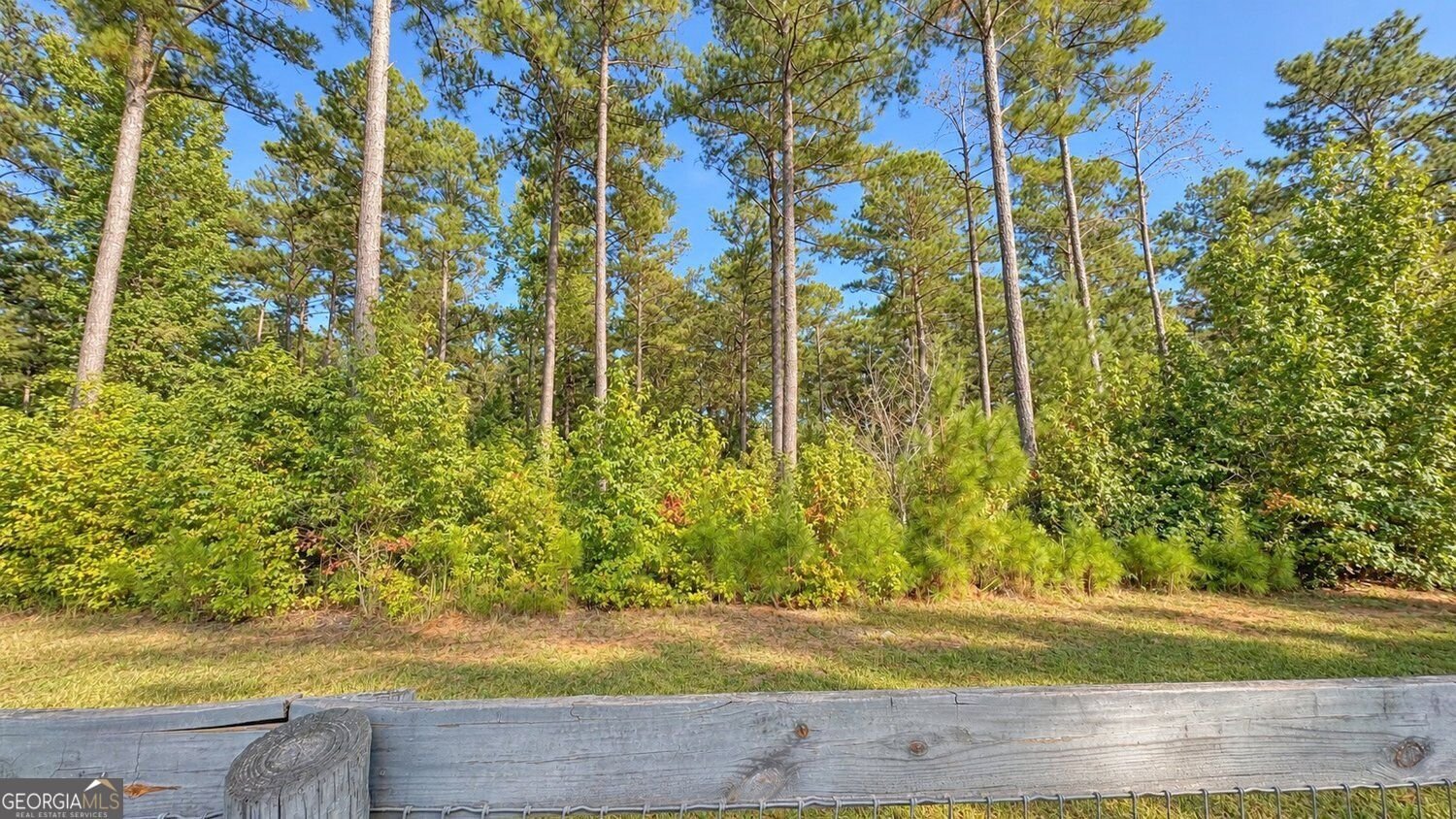 79 Indian Trail Senoia - Photo 32