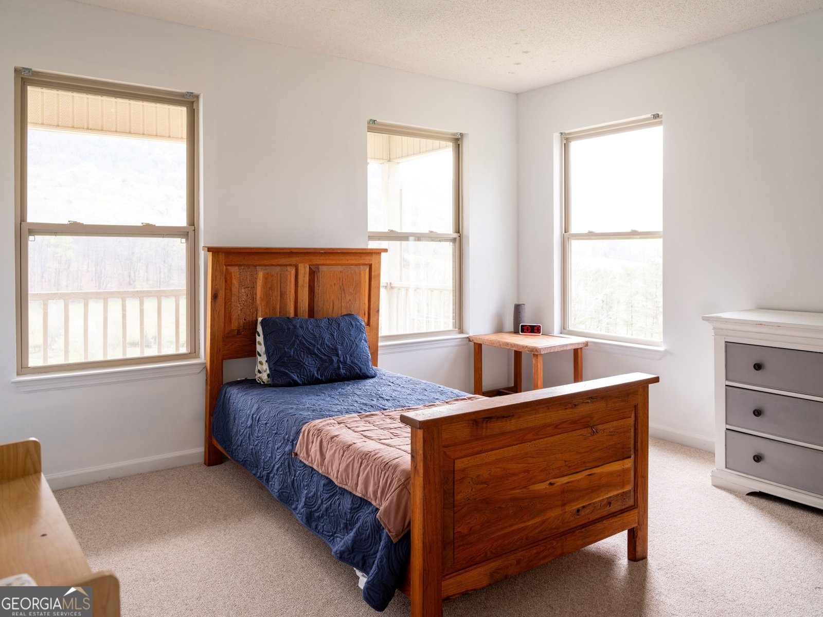 8040 Hog Jowl Road Chickamauga - Photo 19