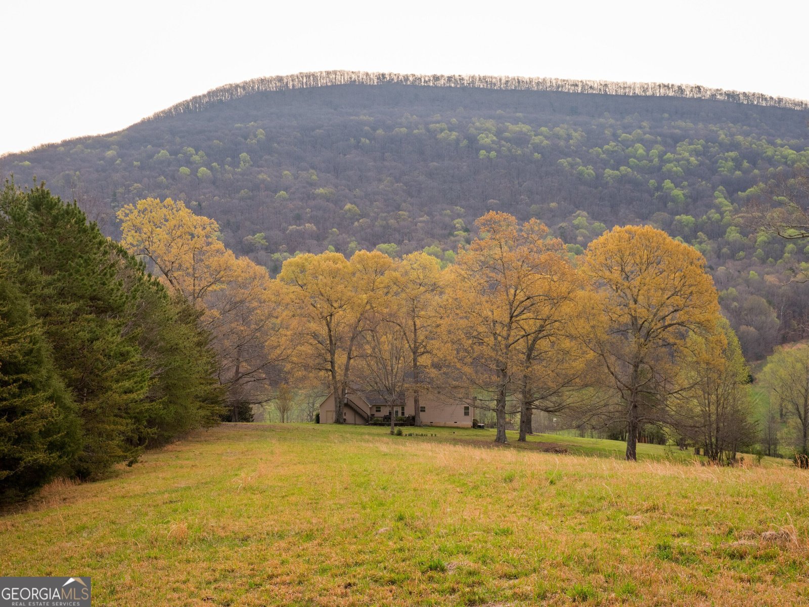 8040 Hog Jowl Road Chickamauga - Photo 27