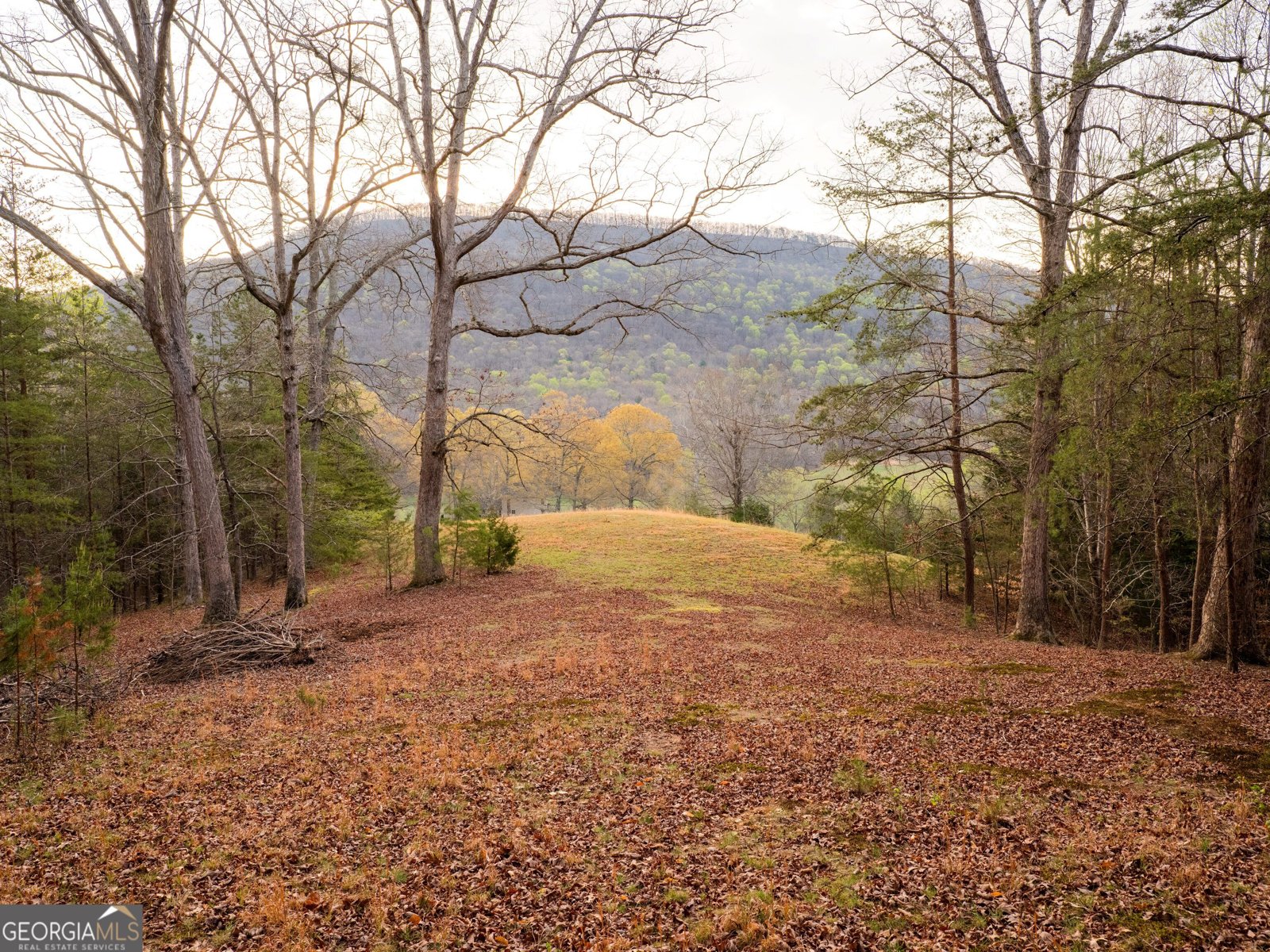 8040 Hog Jowl Road Chickamauga - Photo 28