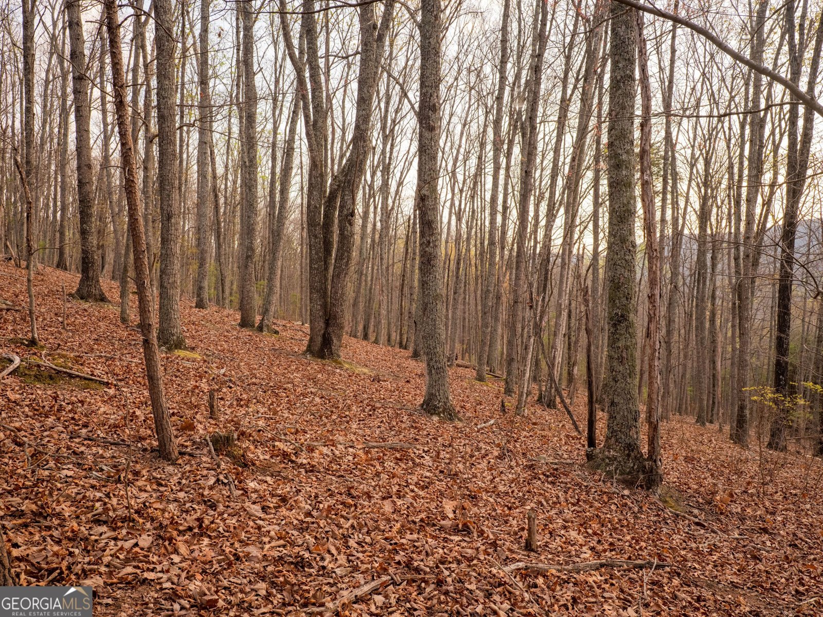 8040 Hog Jowl Road Chickamauga - Photo 29
