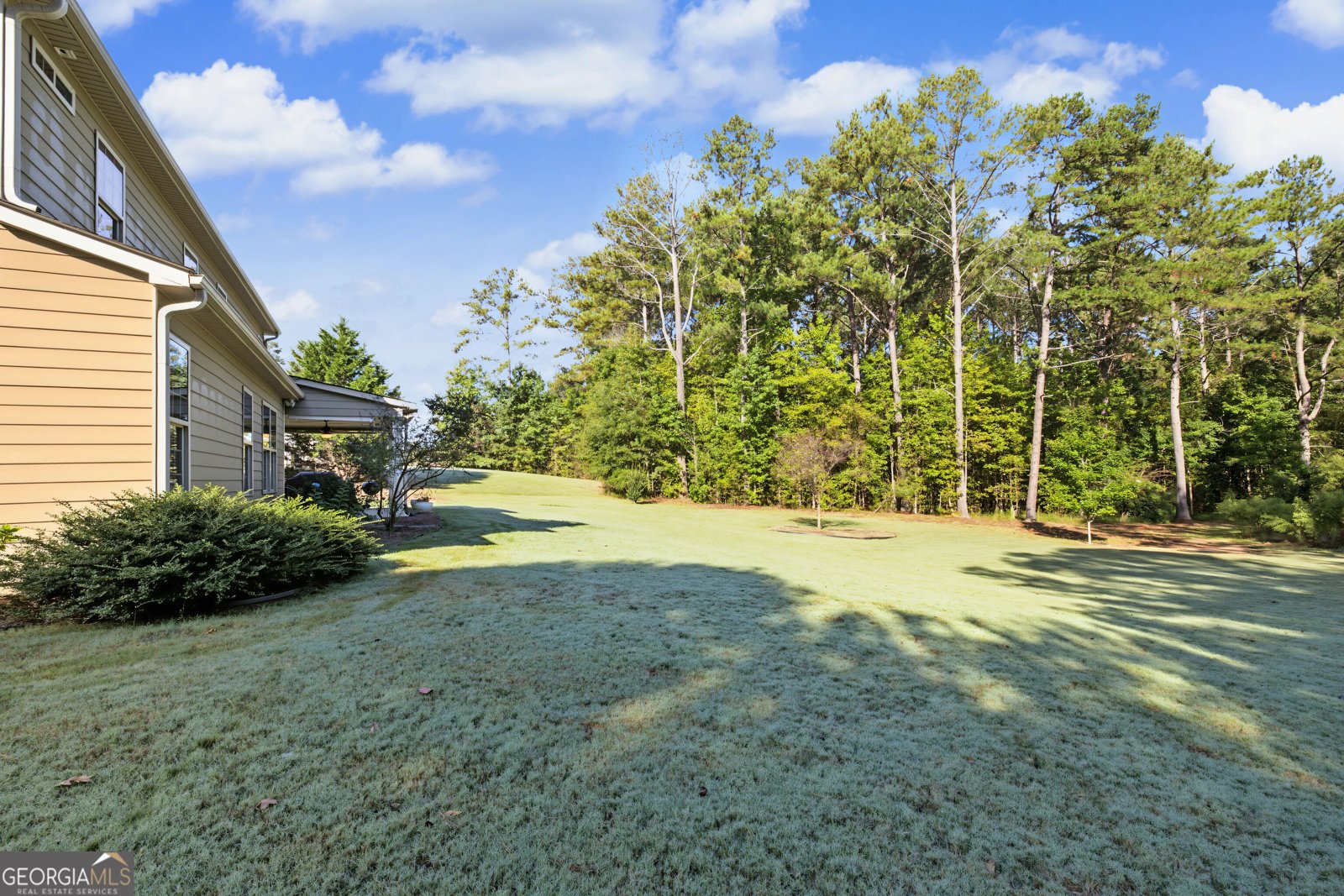 141 Austin Storey Circle Newnan - Photo 36