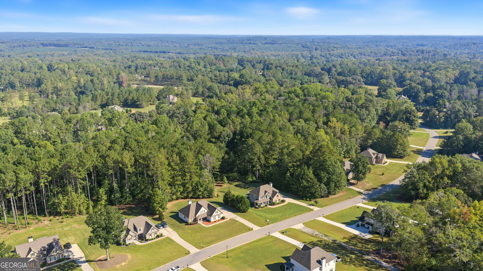 141 Austin Storey Circle Newnan - Photo 42