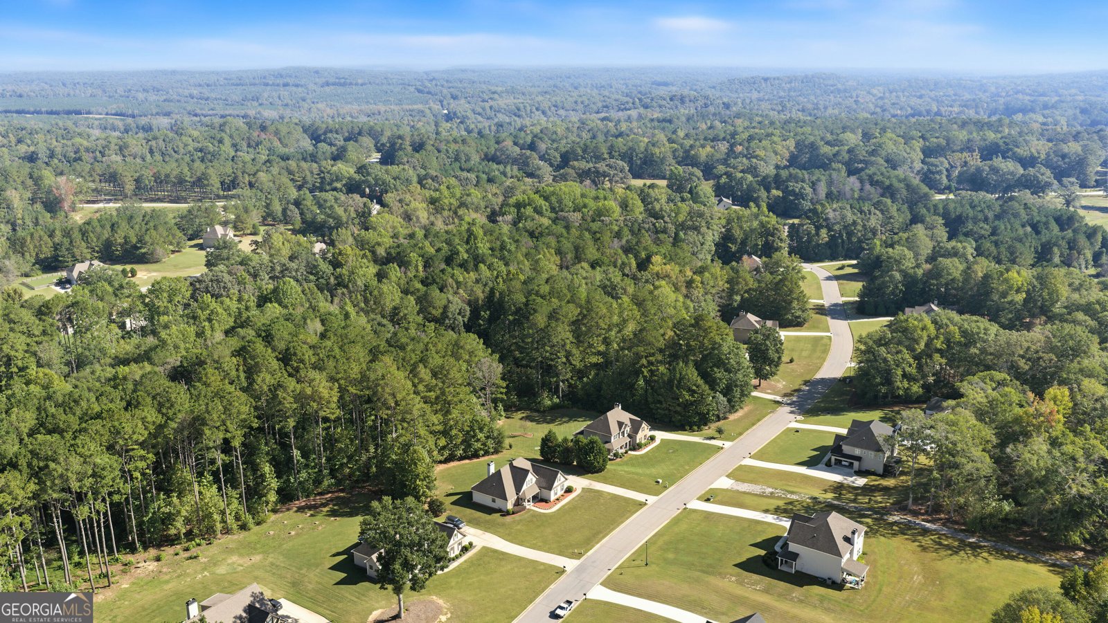 141 Austin Storey Circle Newnan - Photo 45