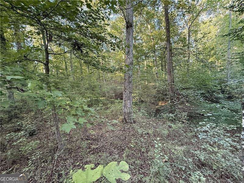 3055 Longstreet Road Milton - Photo 13