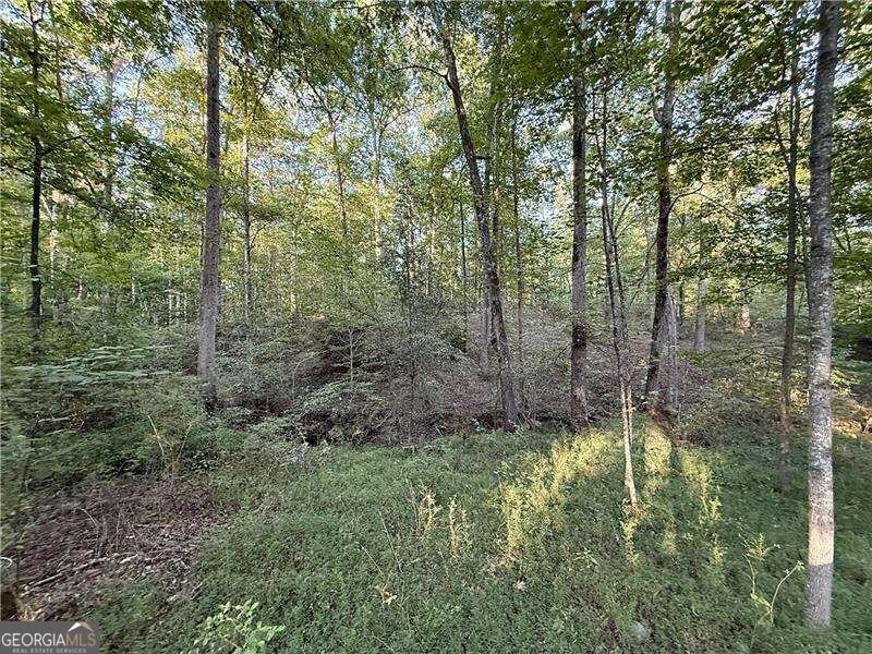 3055 Longstreet Road Milton - Photo 14