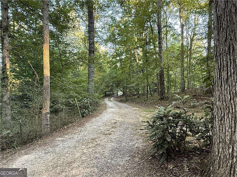 3055 Longstreet Road Milton - Photo 31