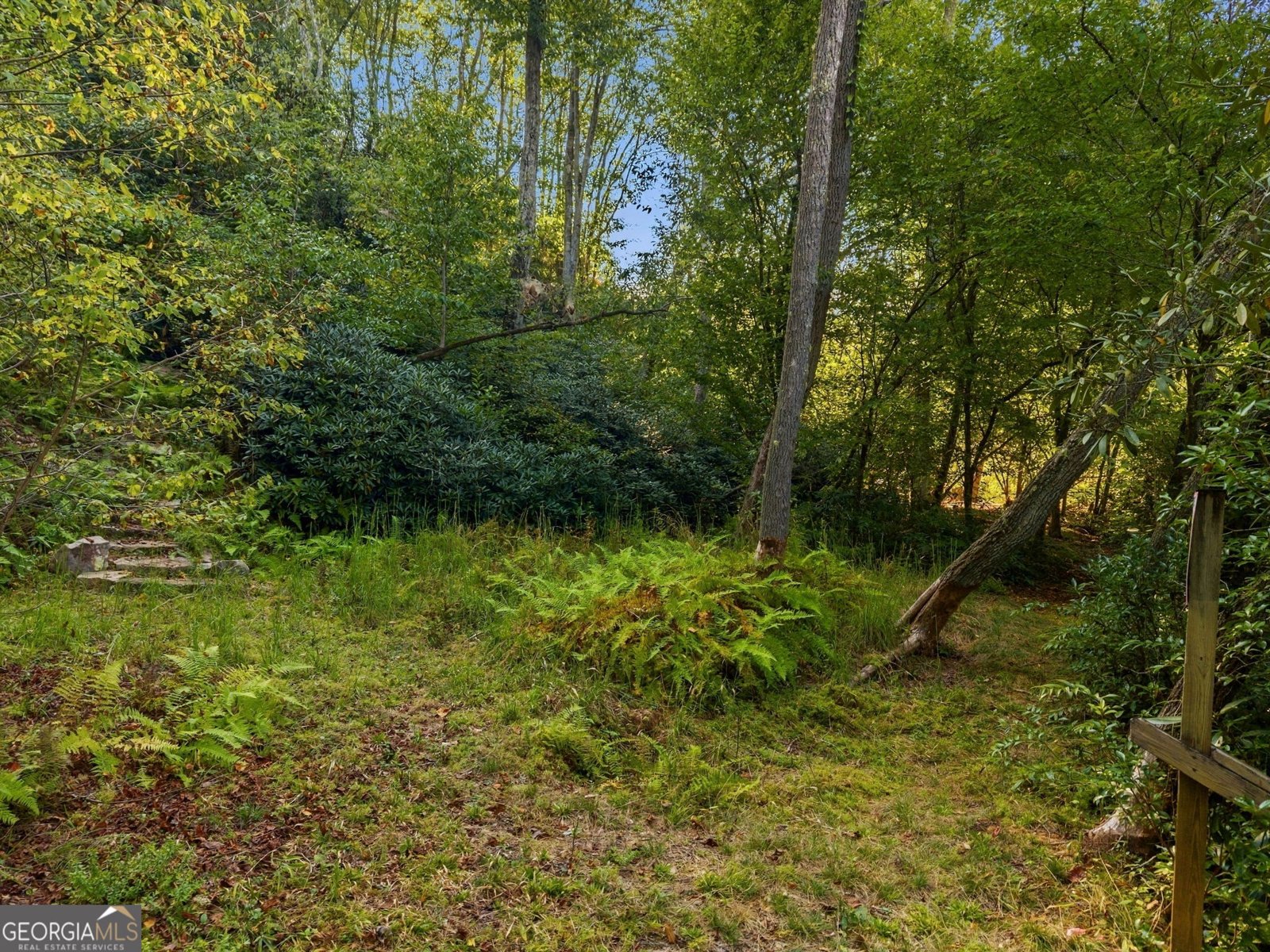 517 Ridge Road Blue Ridge - Photo 41