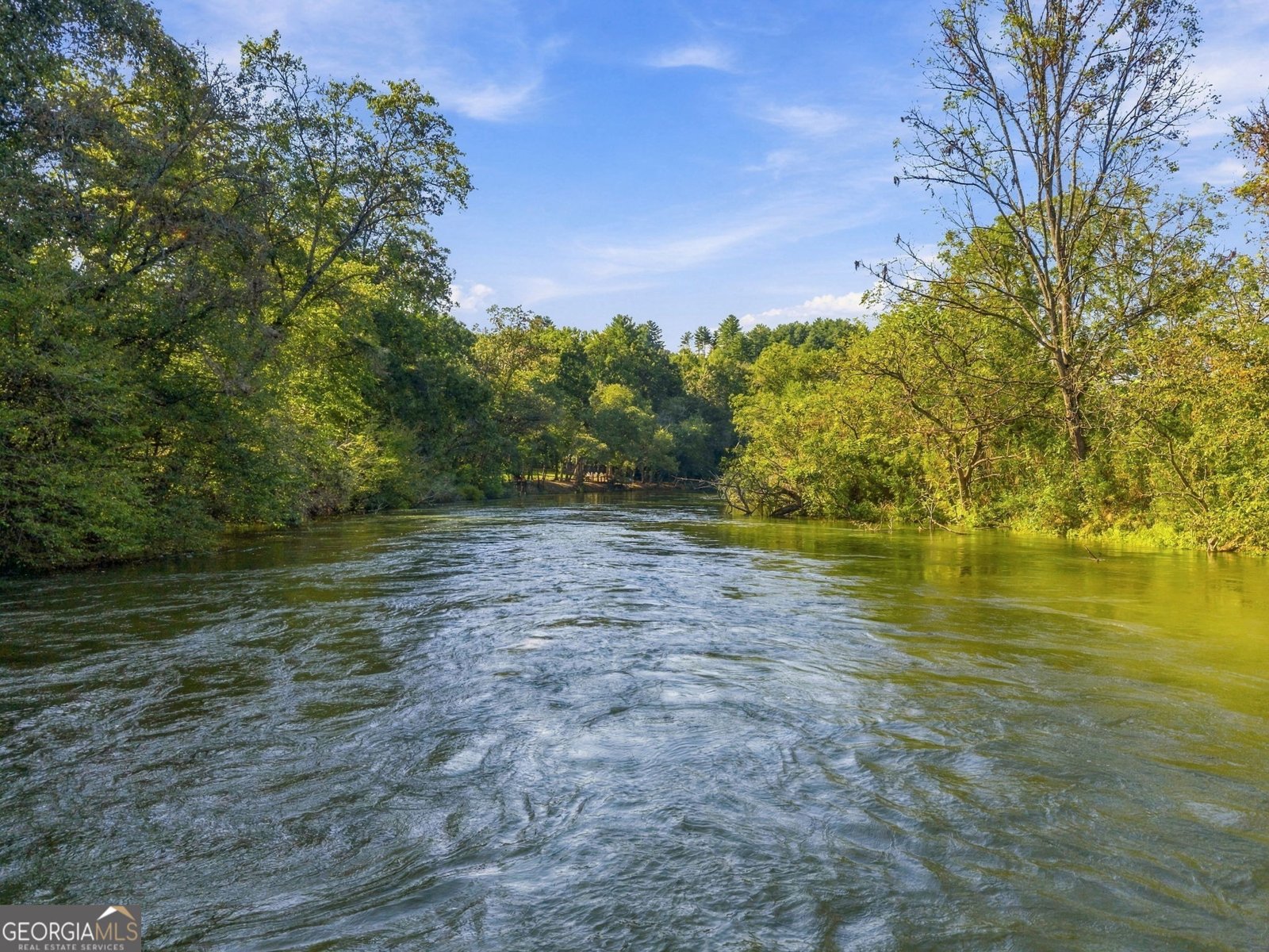 517 Ridge Road Blue Ridge - Photo 43