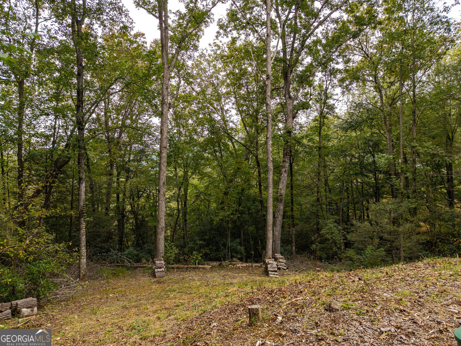 361 Jones Road Ellijay - Photo 21