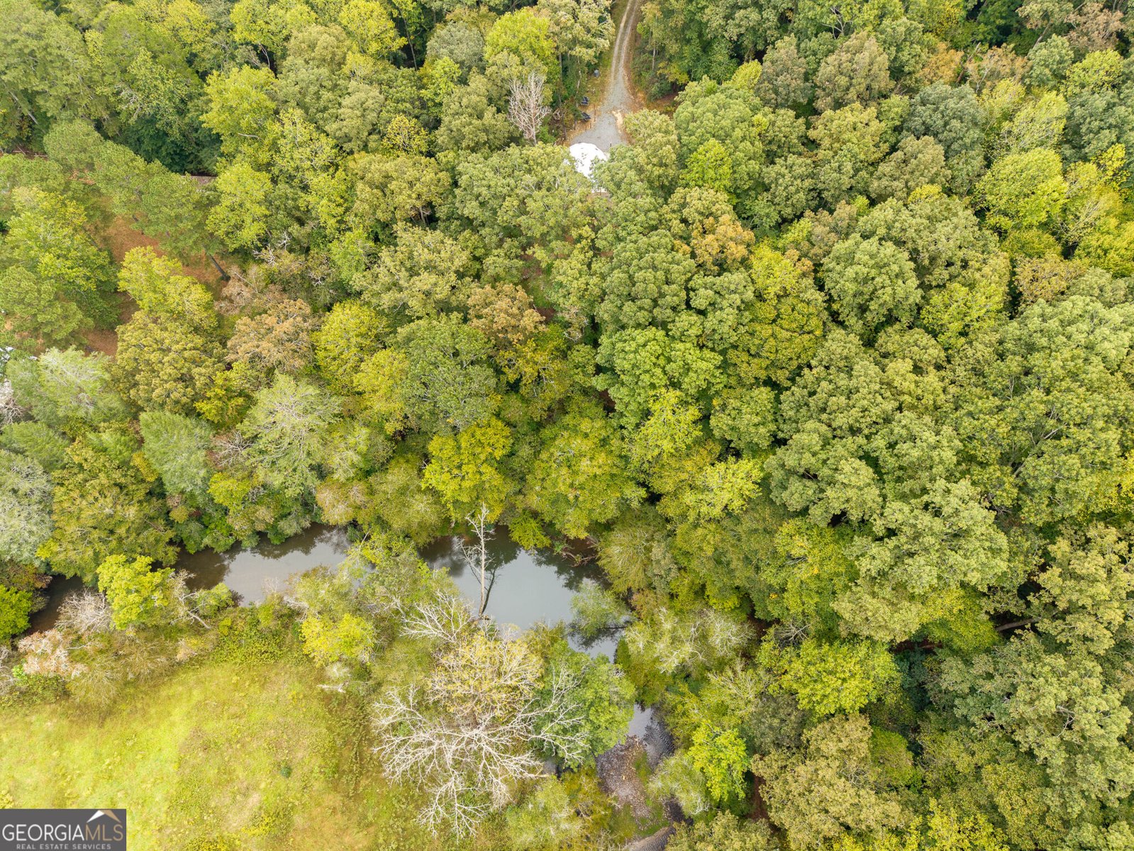 361 Jones Road Ellijay - Photo 28