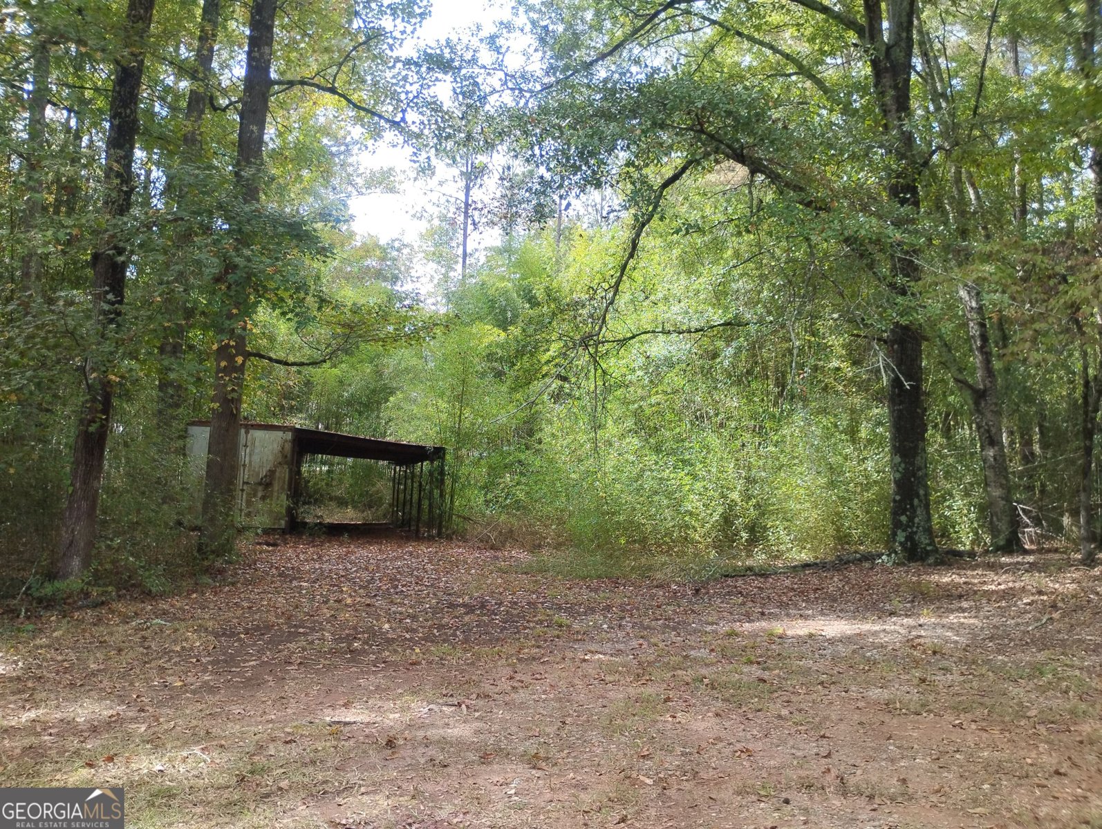 3000 White Pine Lane Mansfield - Photo 23