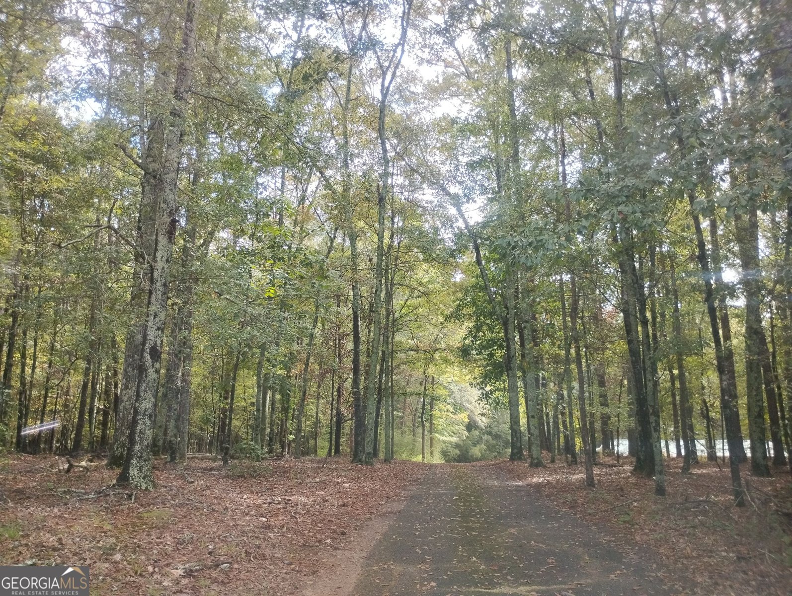 3000 White Pine Lane Mansfield - Photo 27