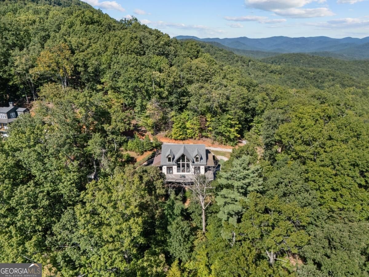 105 Yonah View Dahlonega - Photo 73
