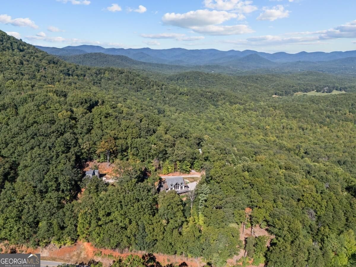 105 Yonah View Dahlonega - Photo 84