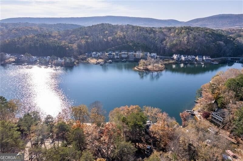 103 Marina Parc Drive Waleska - Photo 56