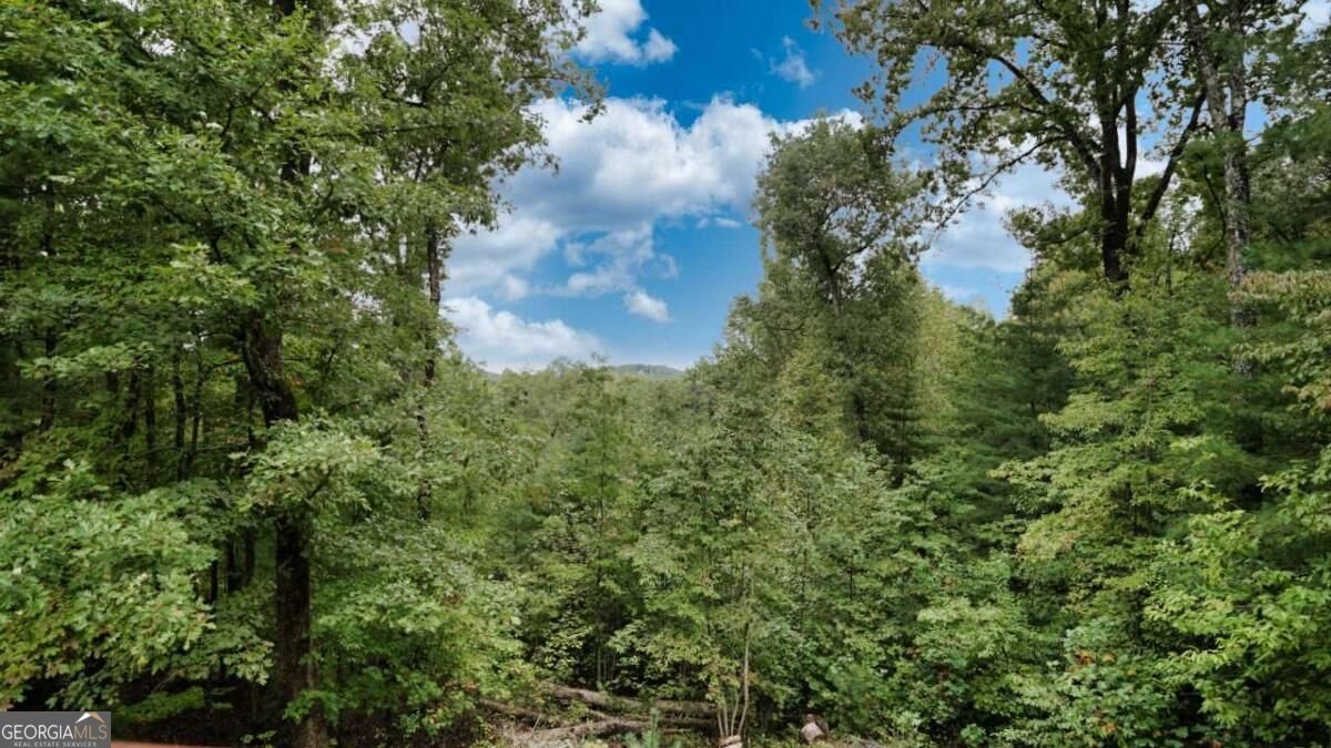 193 Nonchalant Lane Blairsville - Photo 47