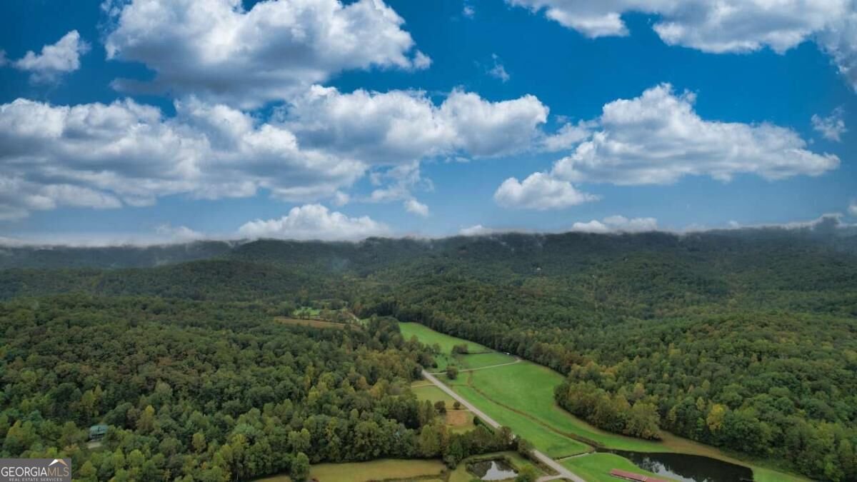 193 Nonchalant Lane Blairsville - Photo 52