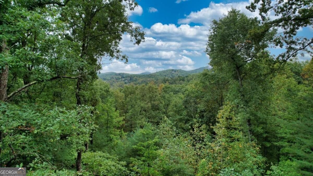 193 Nonchalant Lane Blairsville - Photo 56