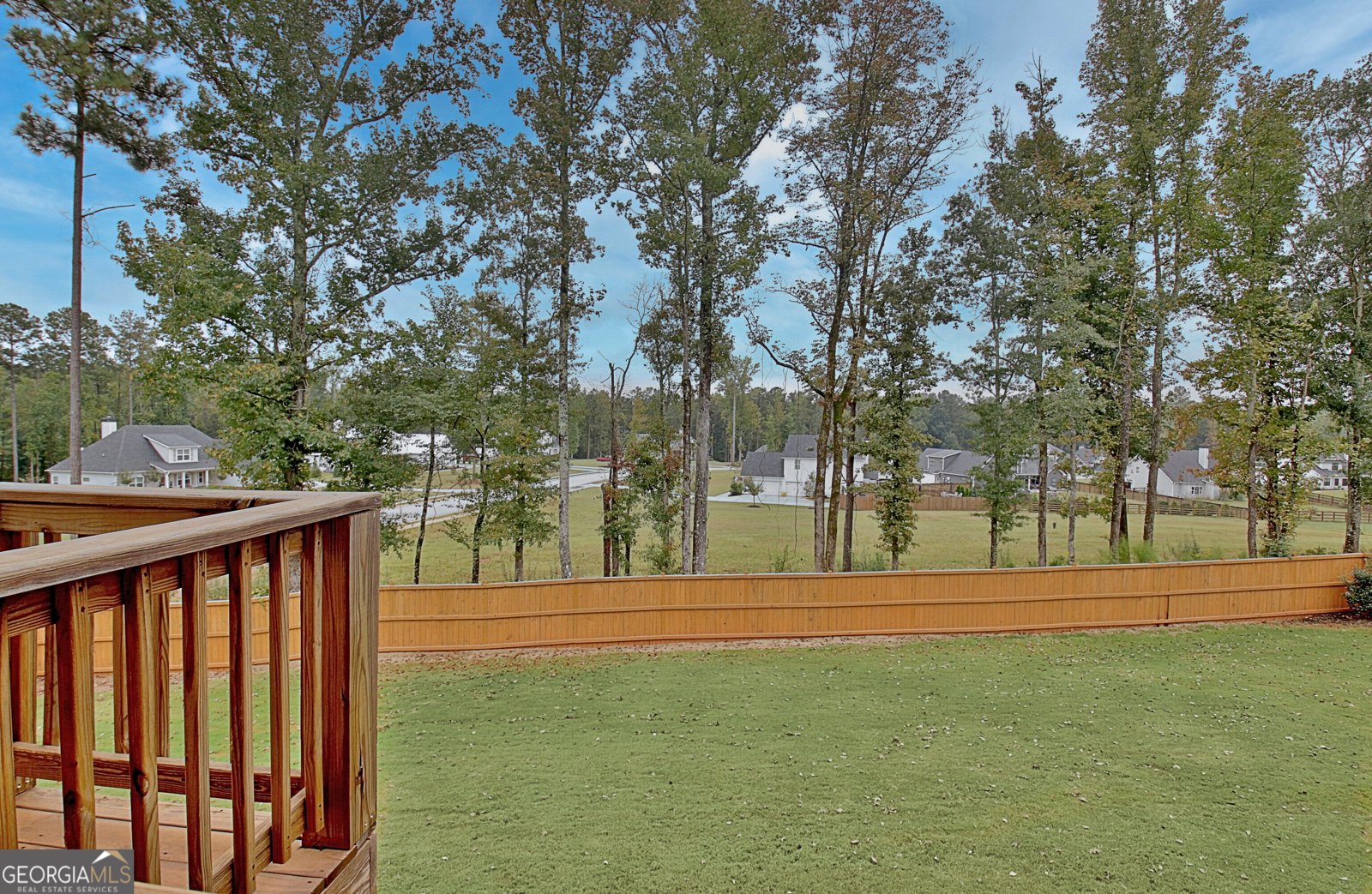 100 Wind Court Tyrone - Photo 26