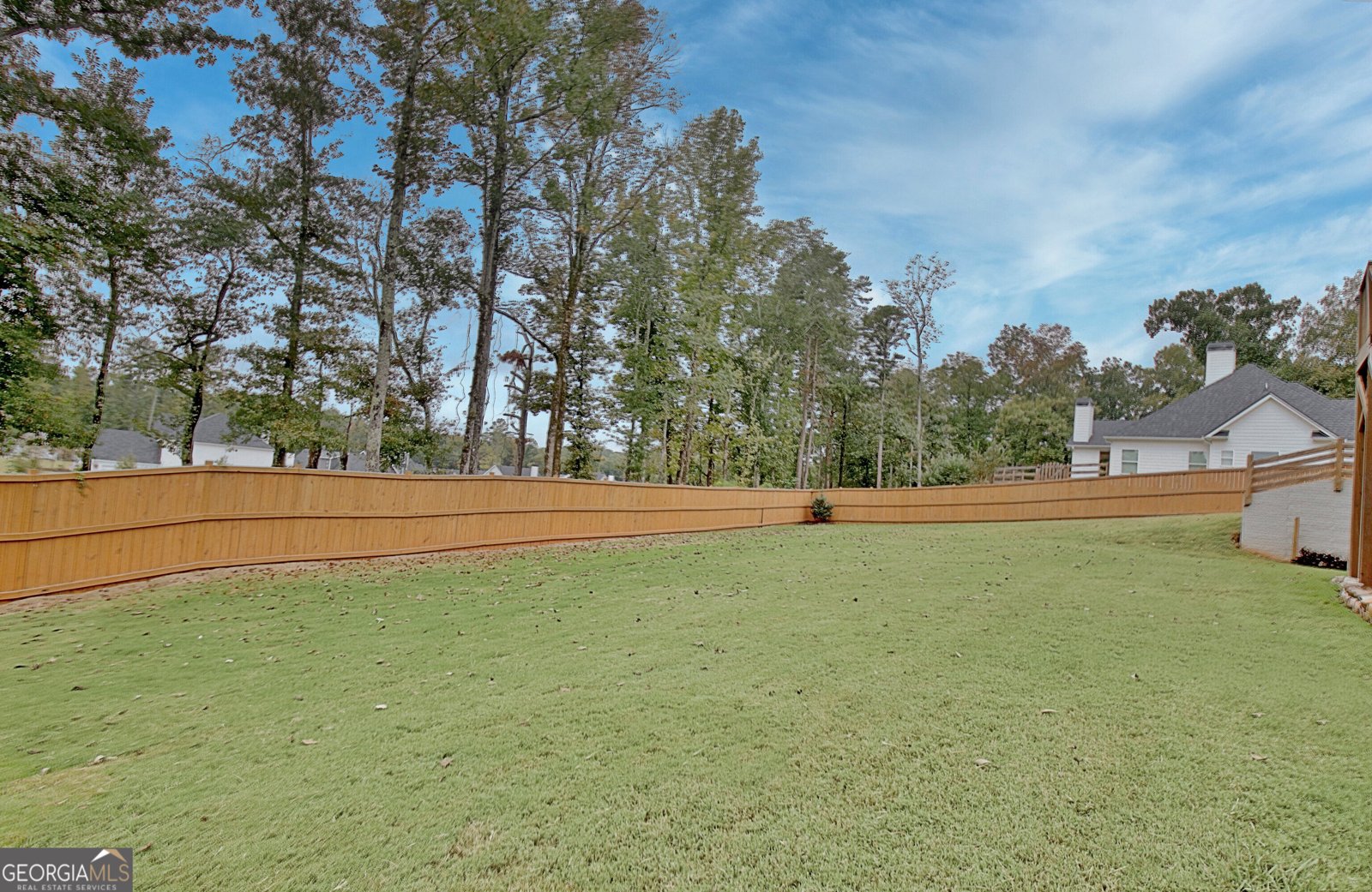 100 Wind Court Tyrone - Photo 96