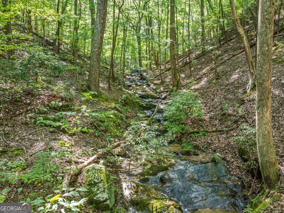 166 Walnut Mountain Court Ellijay - Photo 39