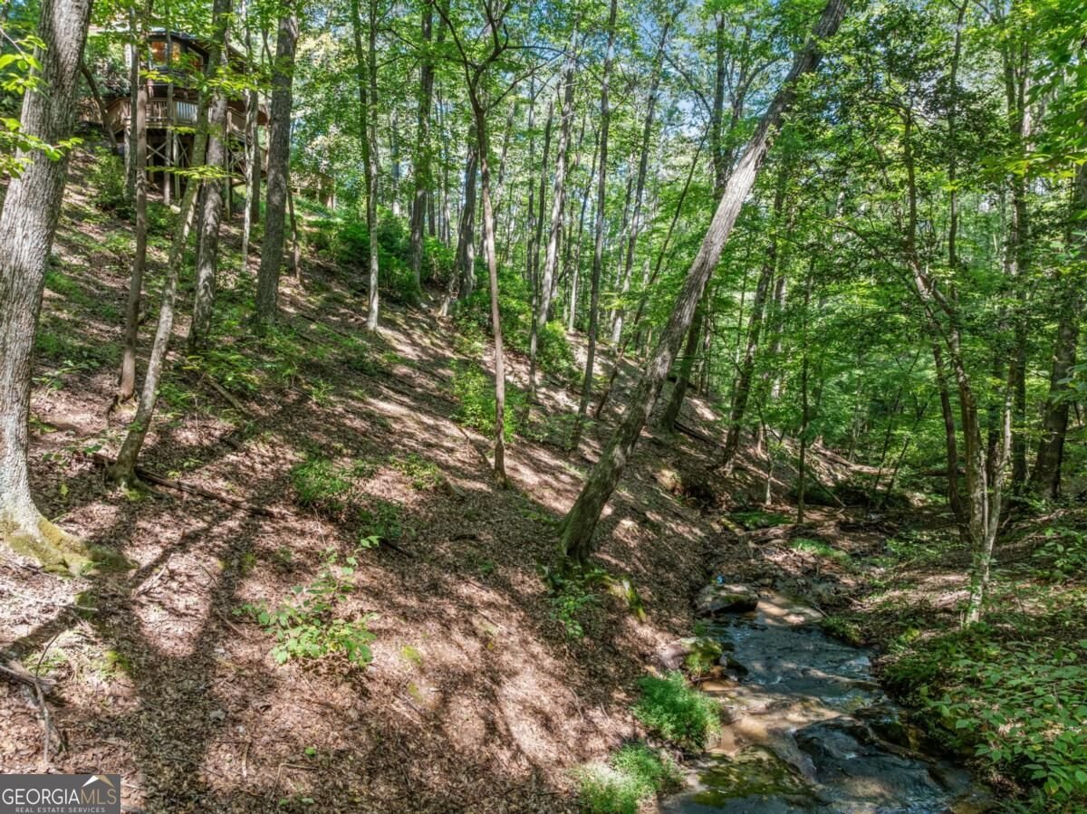166 Walnut Mountain Court Ellijay - Photo 40