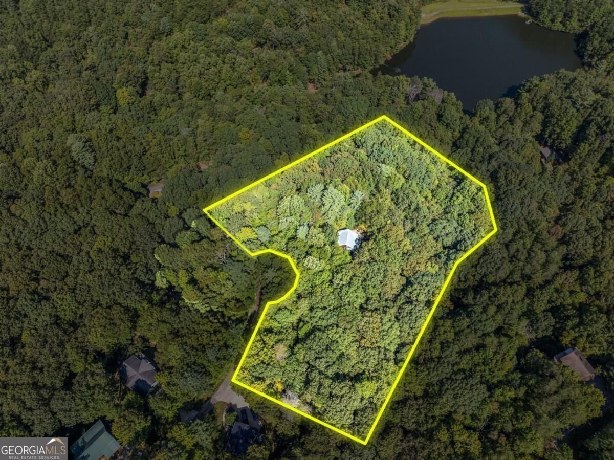 166 Walnut Mountain Court Ellijay - Photo 42