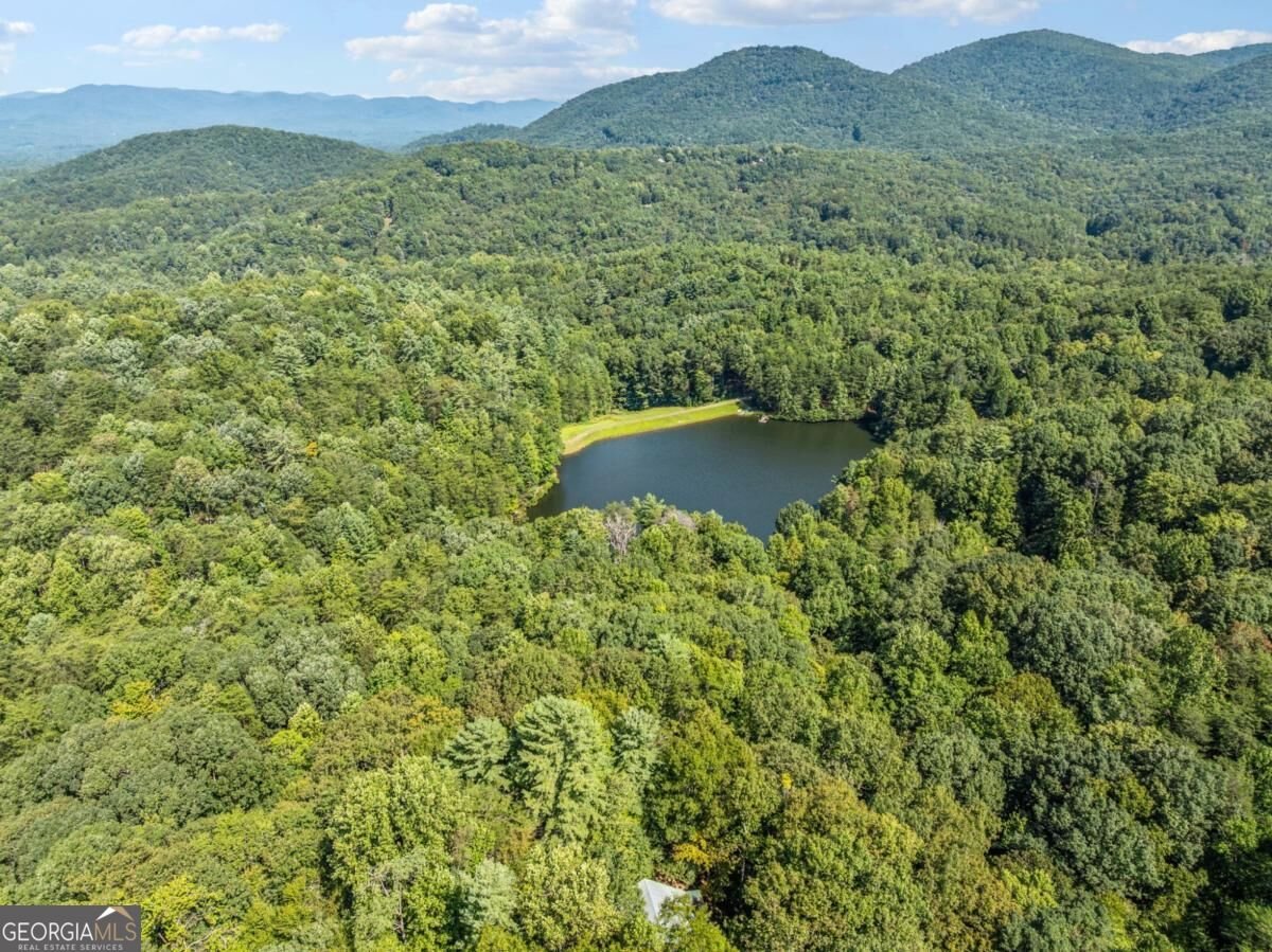 166 Walnut Mountain Court Ellijay - Photo 47