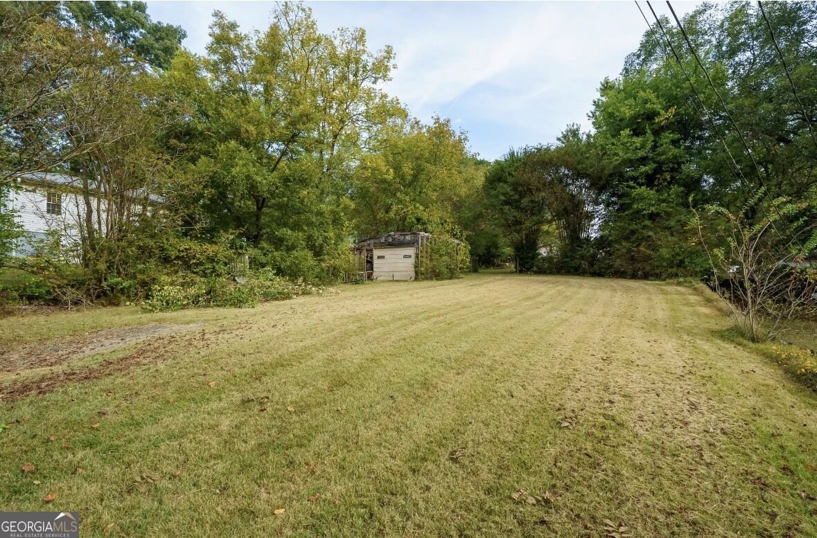 175 A W Roberts Drive Ball Ground - Photo 23