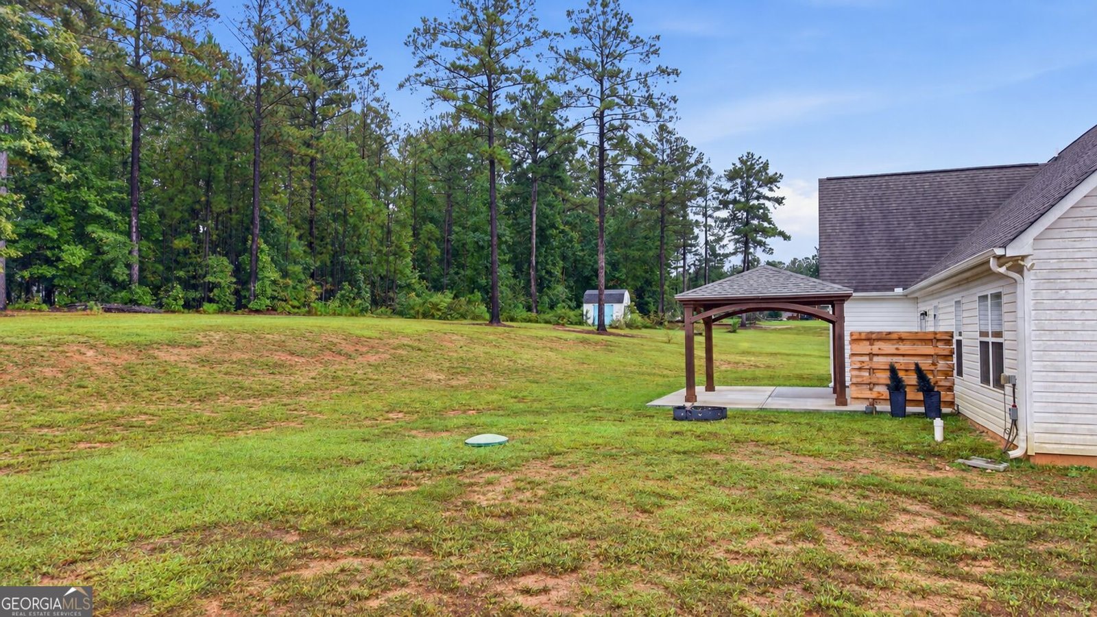 119 Mylee Cove Barnesville - Photo 42