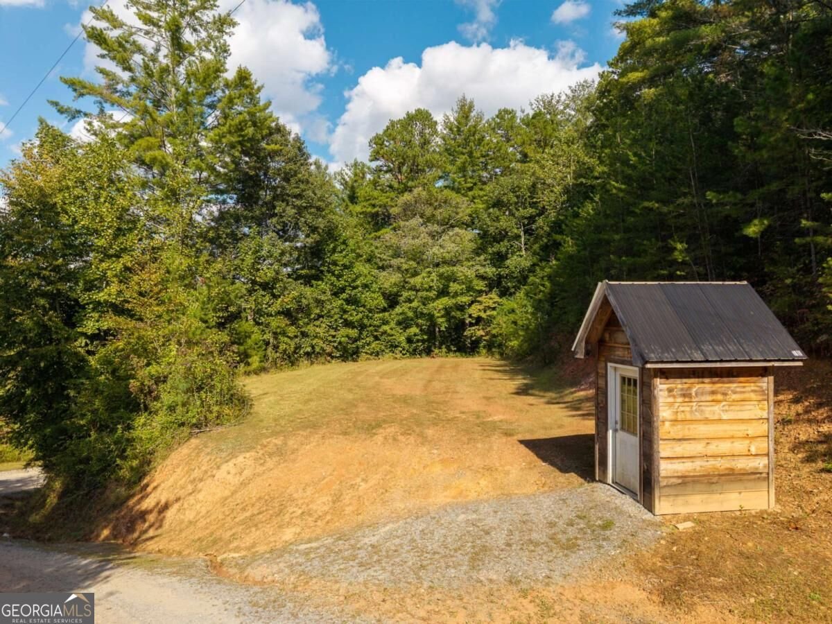 42 Old Jerusalem Road Mineral Bluff - Photo 44