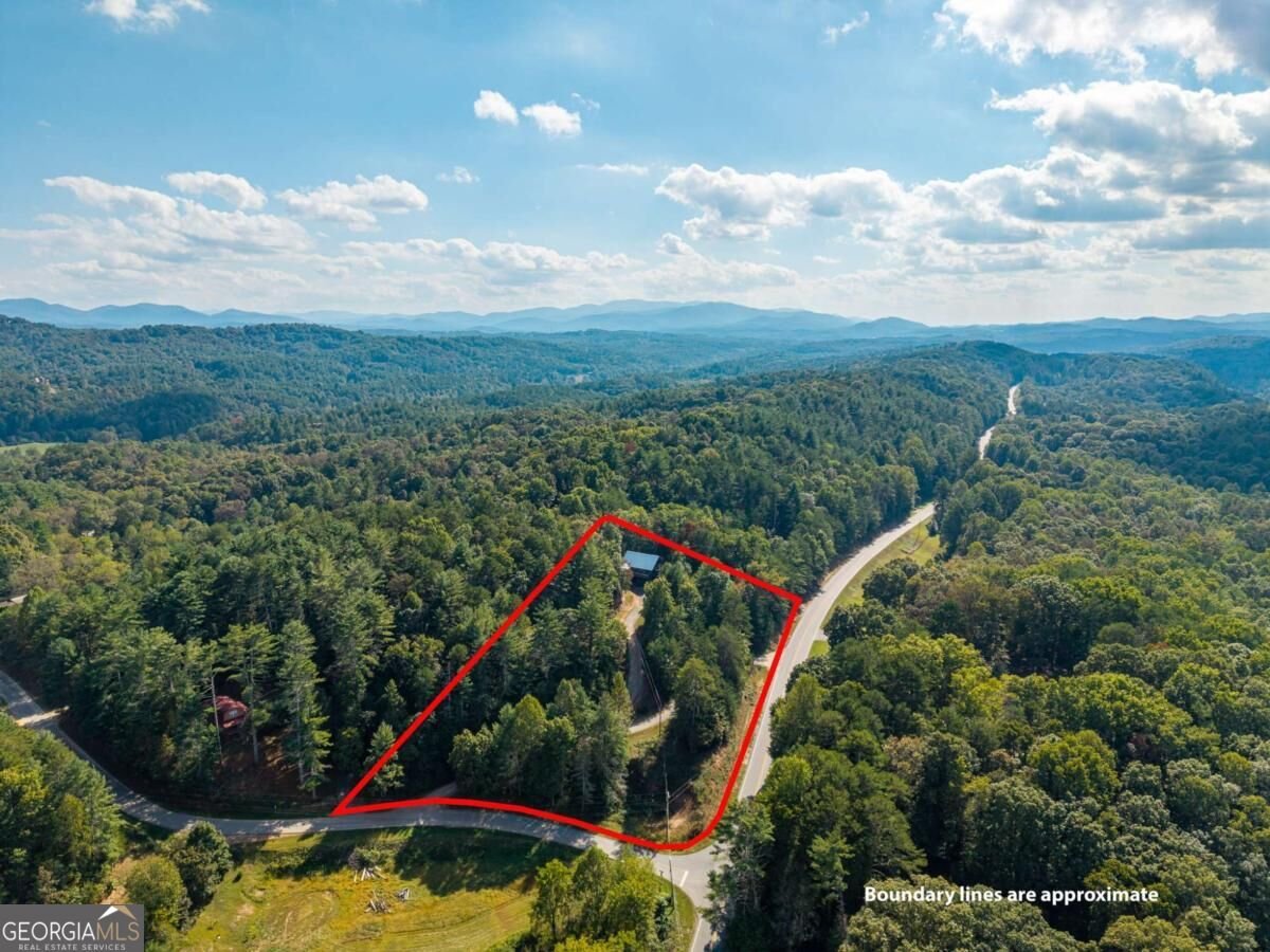 42 Old Jerusalem Road Mineral Bluff - Photo 47