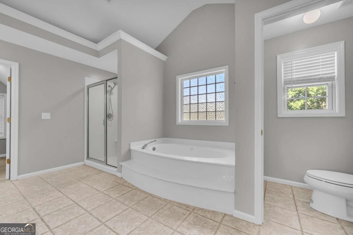 2373 Oak Falls Lane Buford - Photo 55