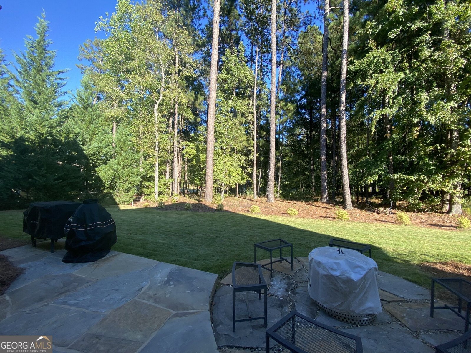 1030 Osprey Lane Greensboro - Photo 30