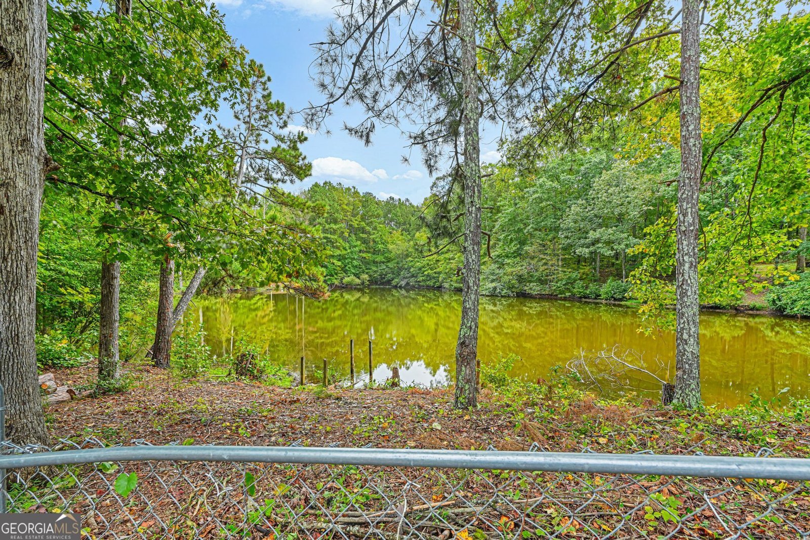80 Lakefront Drive Covington - Photo 35