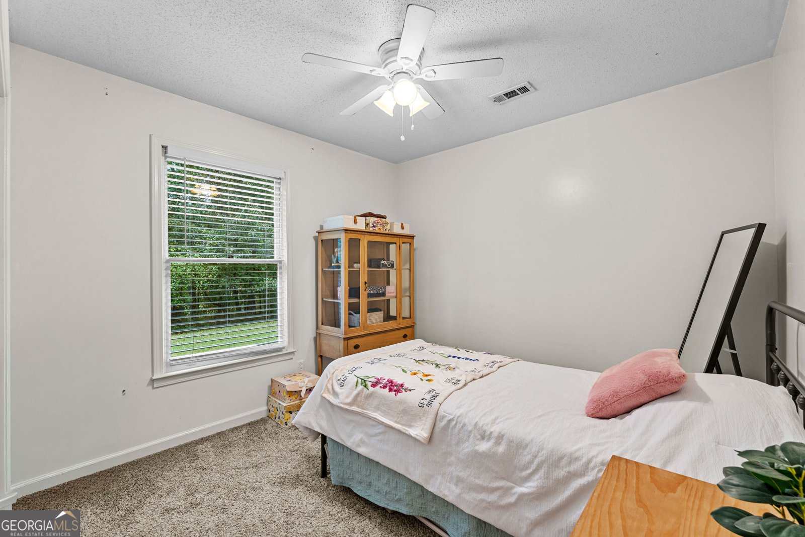 165 Wagon Wheel Trail Senoia - Photo 28