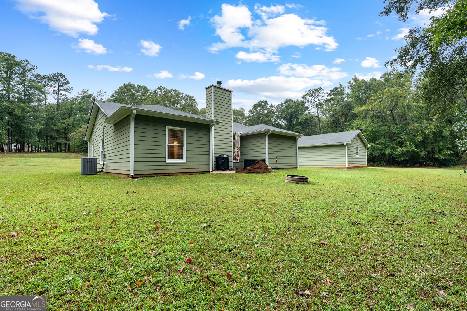 165 Wagon Wheel Trail Senoia - Photo 36