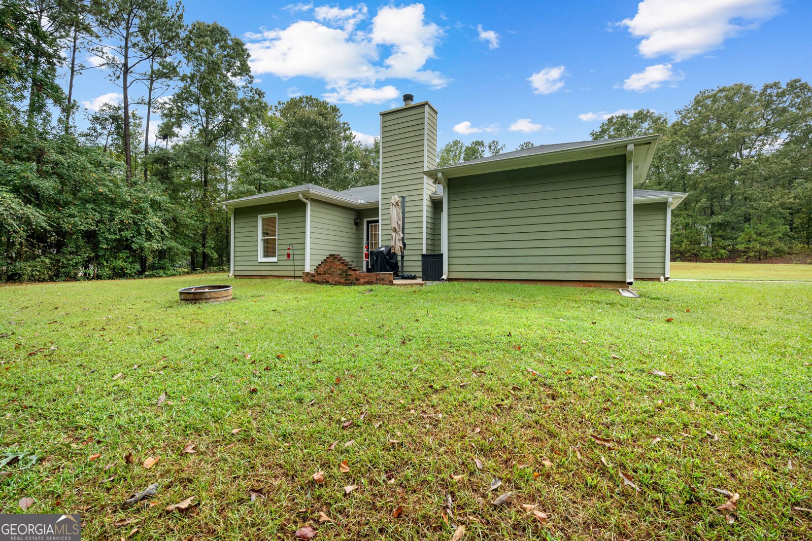 165 Wagon Wheel Trail Senoia - Photo 37