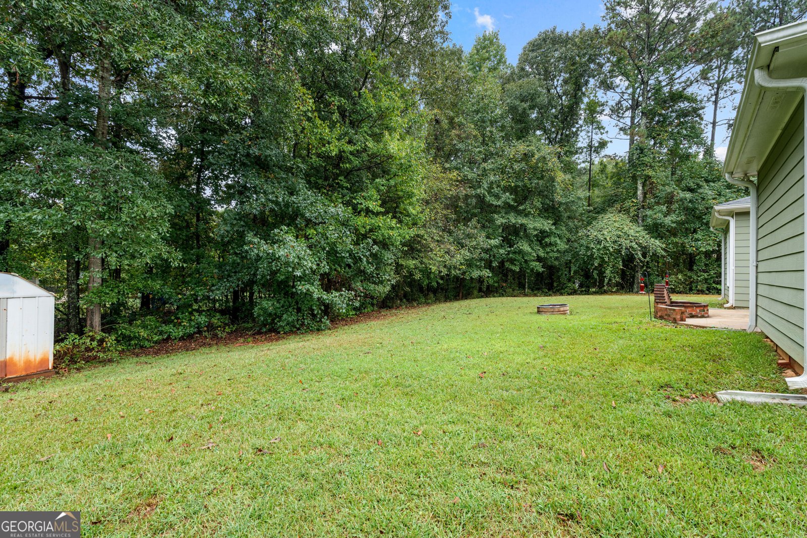 165 Wagon Wheel Trail Senoia - Photo 38