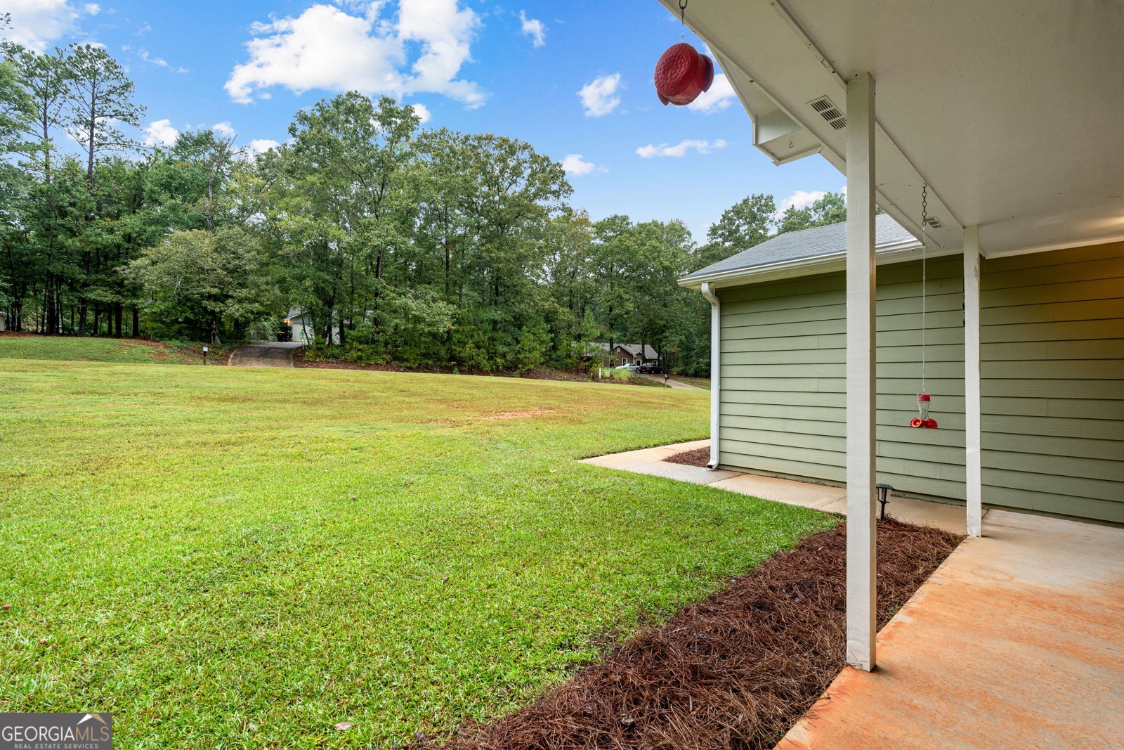 165 Wagon Wheel Trail Senoia - Photo 6