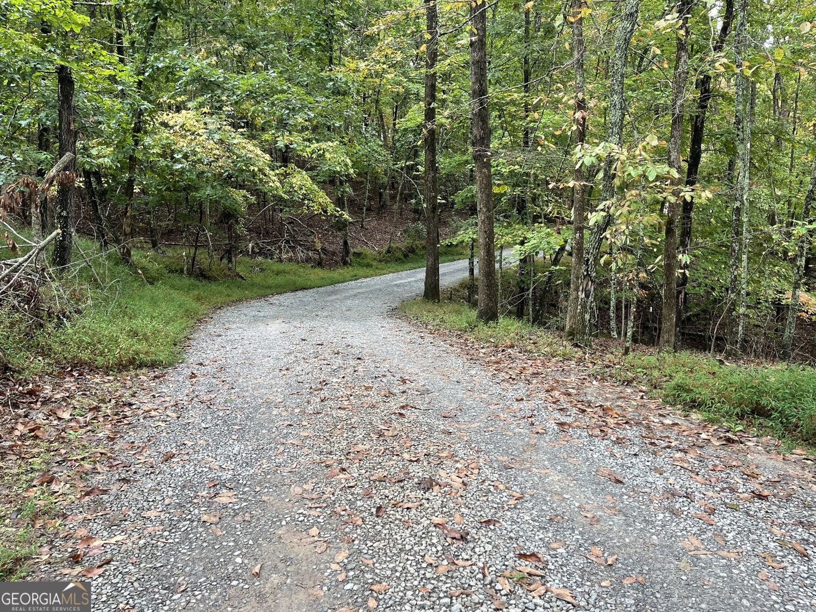 185 Sassafras Drive Mineral Bluff - Photo 44