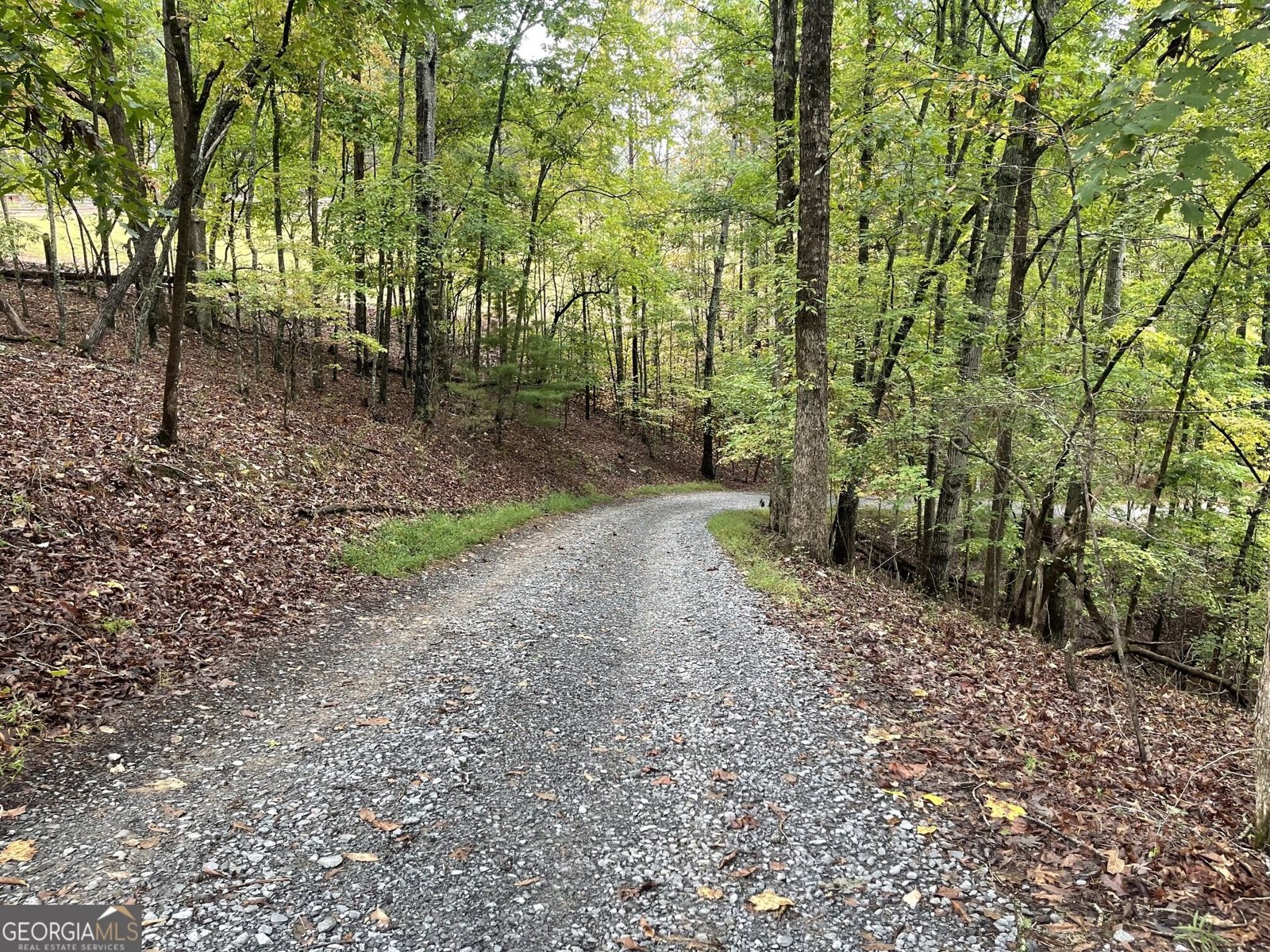 185 Sassafras Drive Mineral Bluff - Photo 45