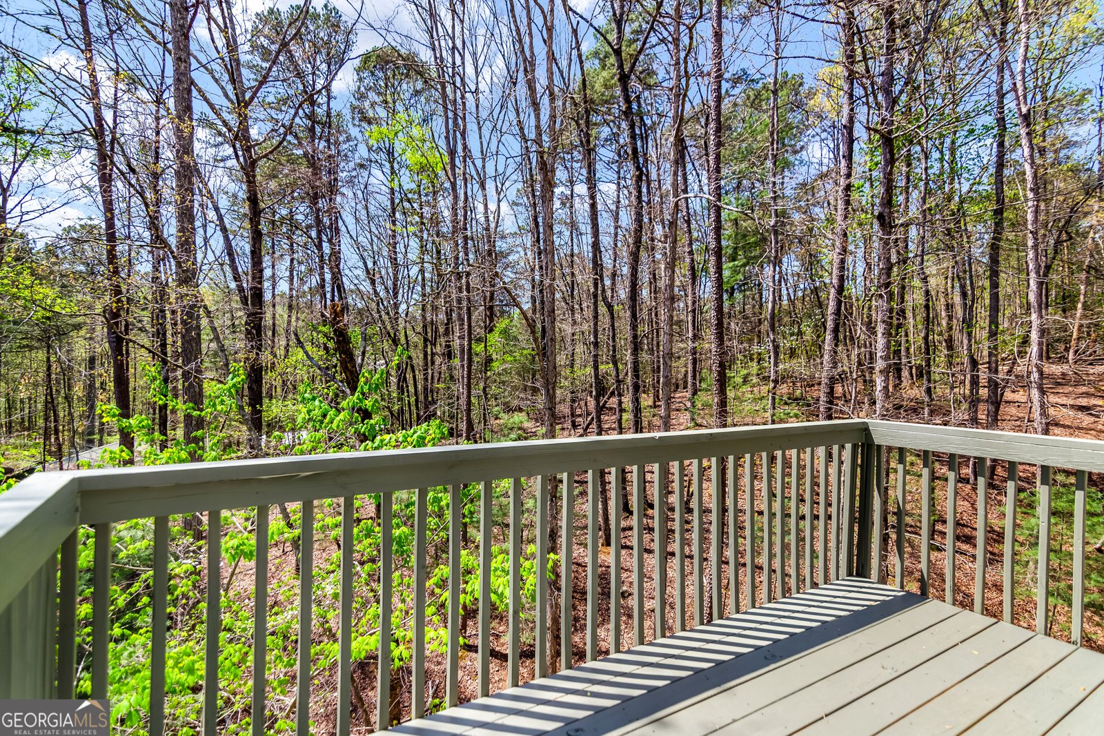 1205 Newport Drive Ellijay - Photo 17