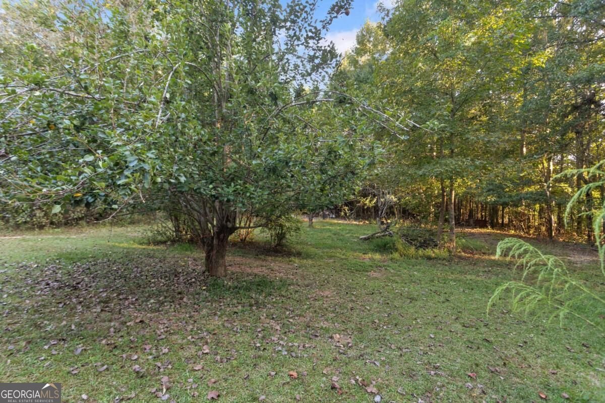 5387 Due West Road Powder Springs - Photo 64