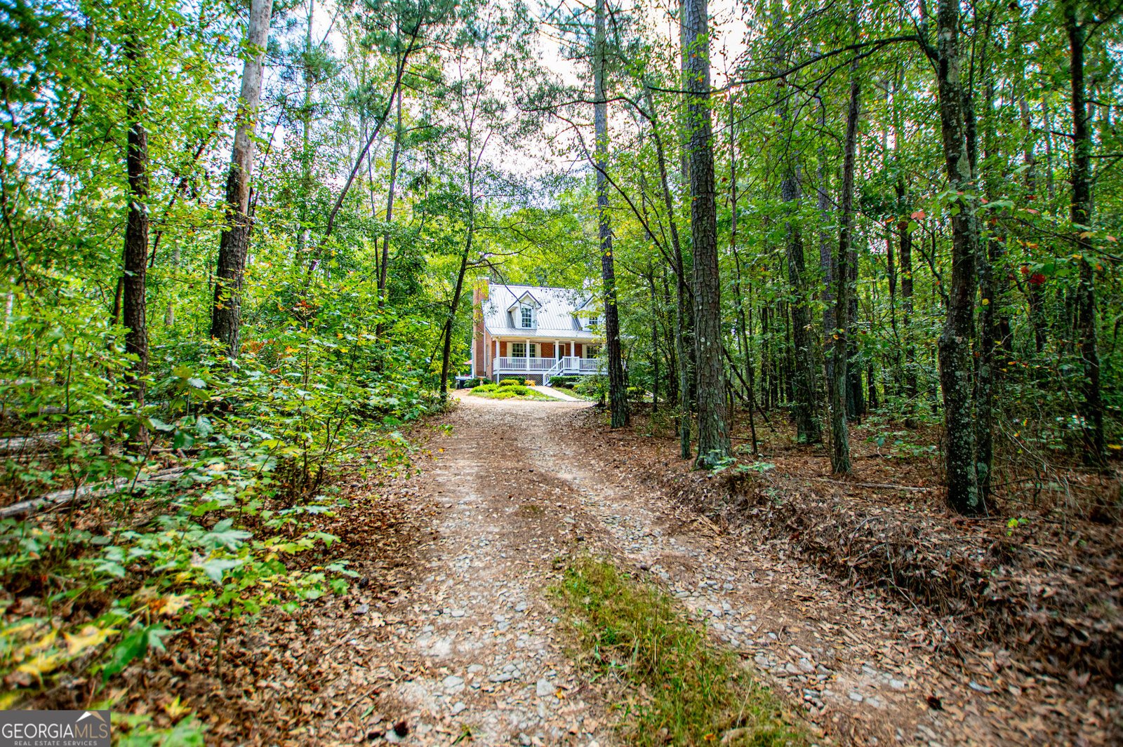 1045 Grice Road Roopville - main photo