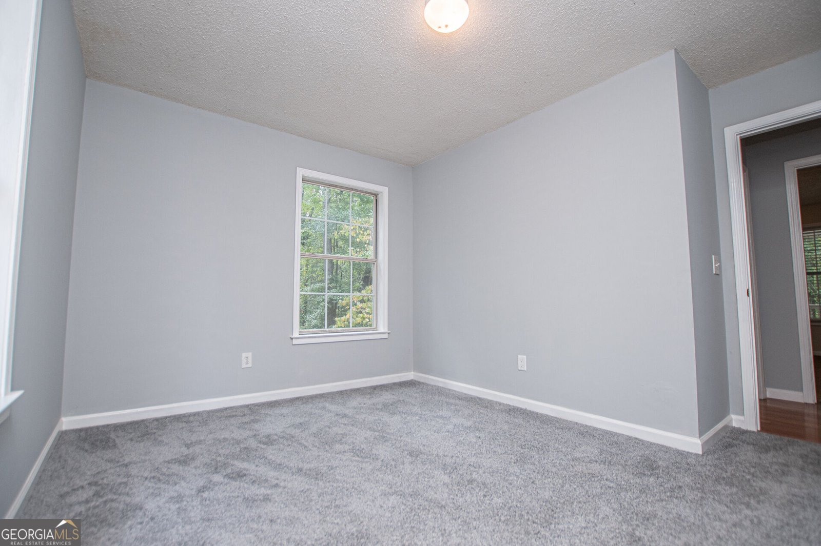 1045 Grice Road Roopville - Photo 37