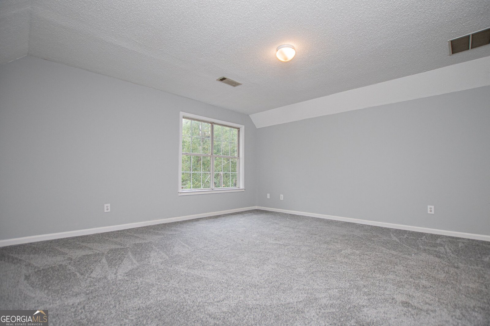 1045 Grice Road Roopville - Photo 42