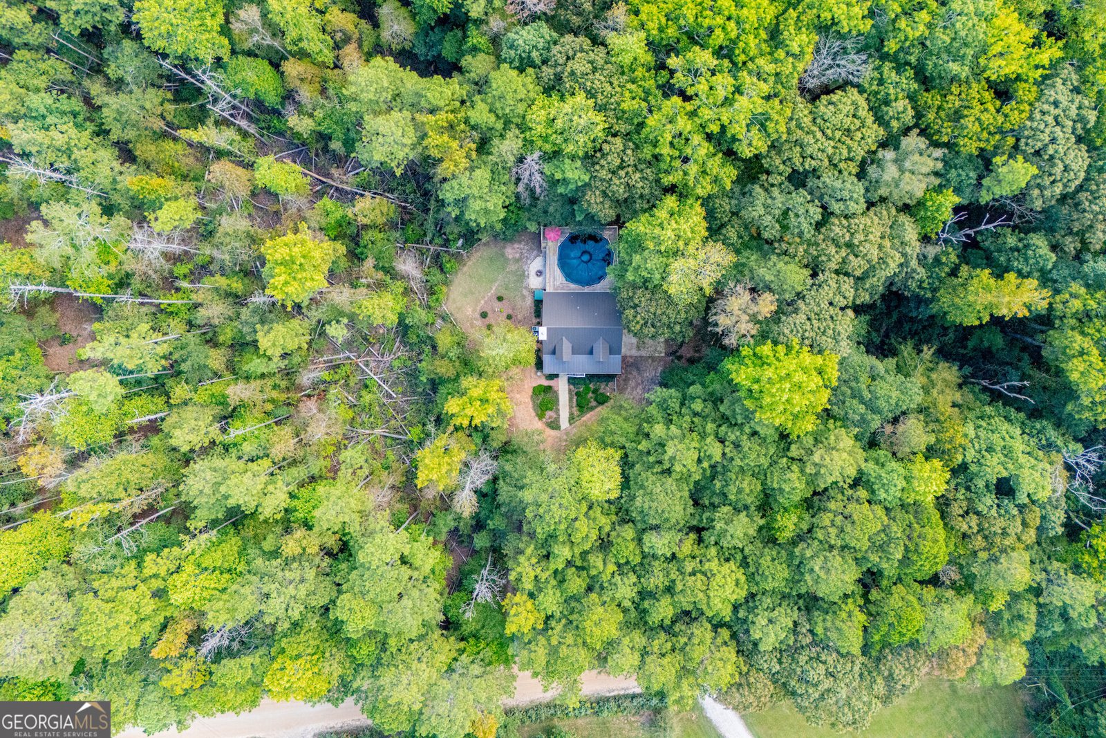 1045 Grice Road Roopville - Photo 70