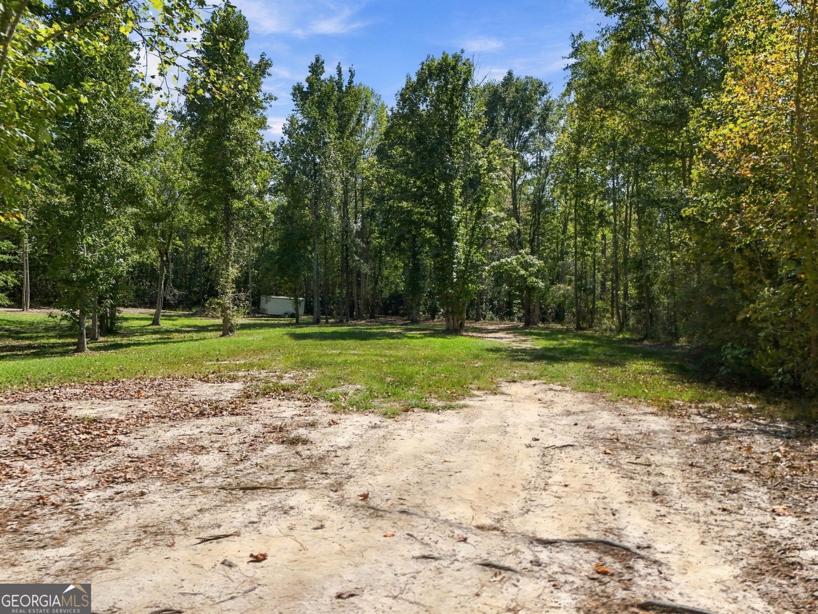 3785 Allie Road Greenville - Photo 64